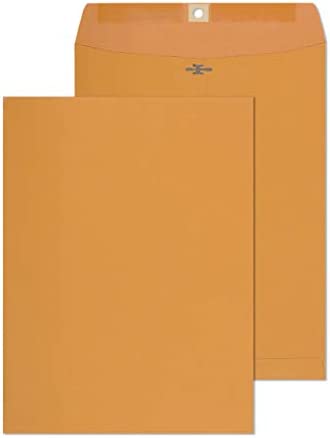 Paper Pouch Brown Envelop 9
